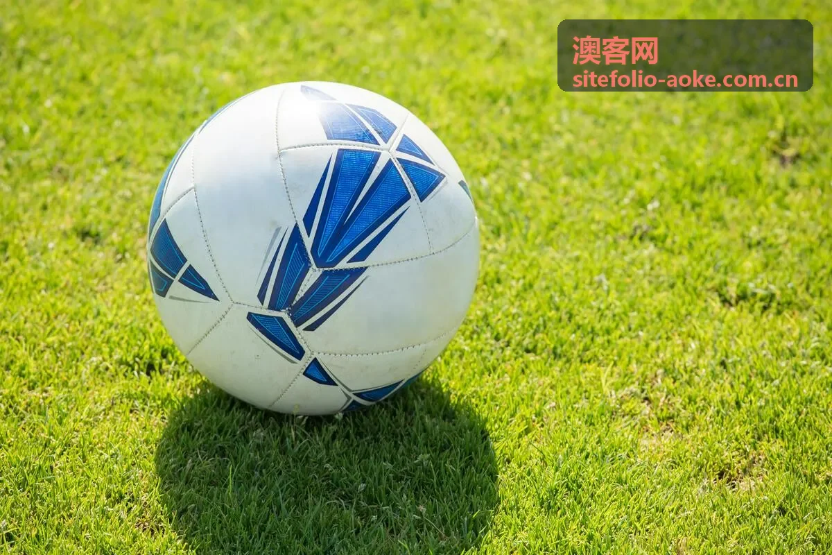 澳客网专家观点合集